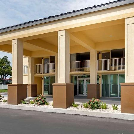 Quality Inn Saint Petersburg North-Tampa Bay Exterior foto