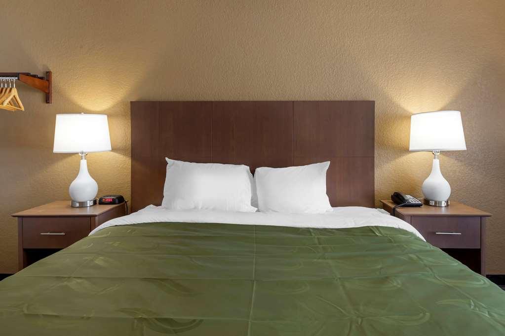 Quality Inn Saint Petersburg North-Tampa Bay Habitación foto